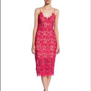 Bardot Fuchsia Lace Midi Dress